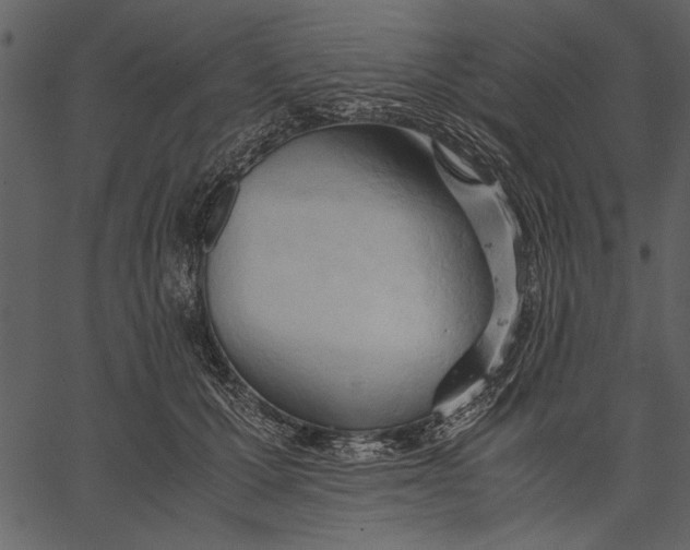 X0000062600607200601110944
