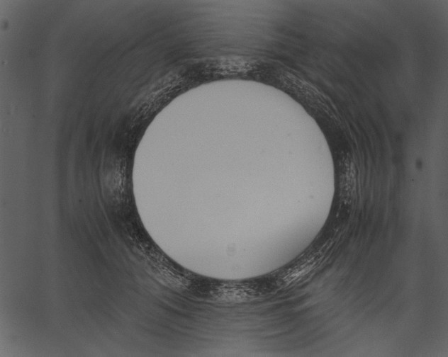 X0000062600608200601110944