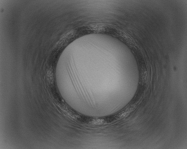 X0000062600609200601110944