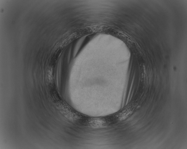 X0000062600610200601110944