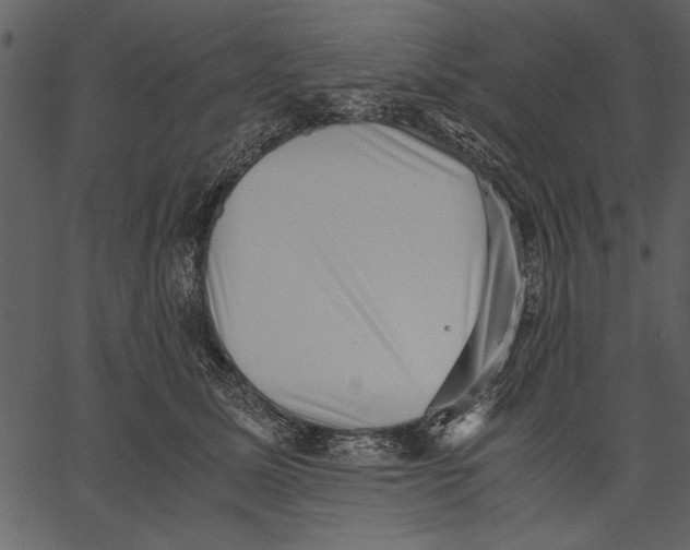 X0000062600611200601110944