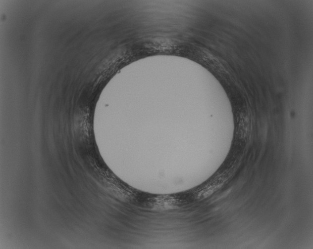 X0000062600612200601110944