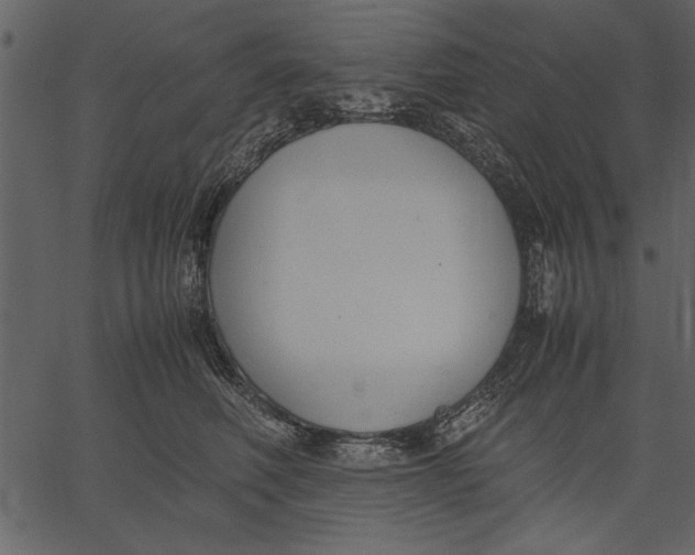 X0000062600614200601110944
