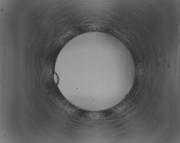 X0000062600615200601110944