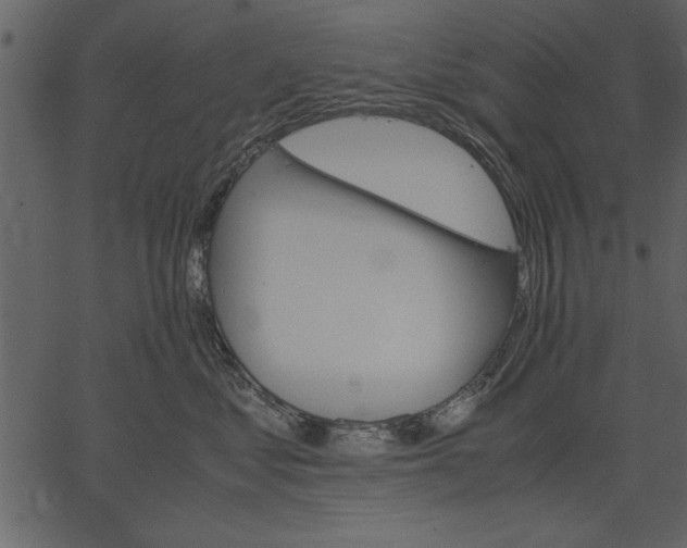X0000062600621200601110944
