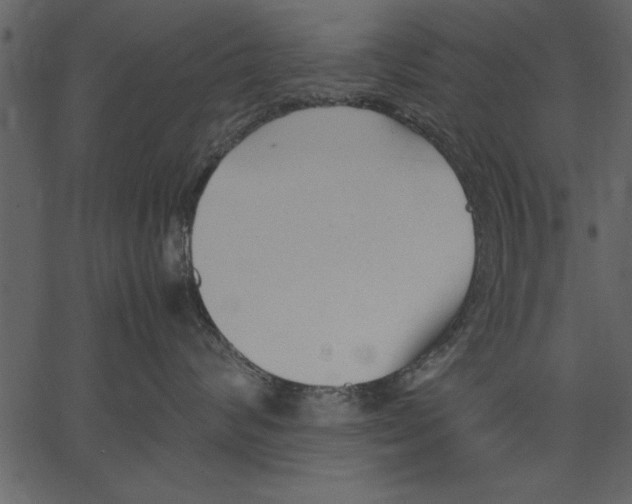 X0000062600624200601110944