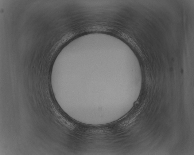 X0000062600625200601110943