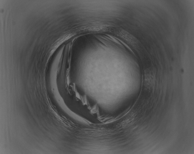 X0000062600626200601110943