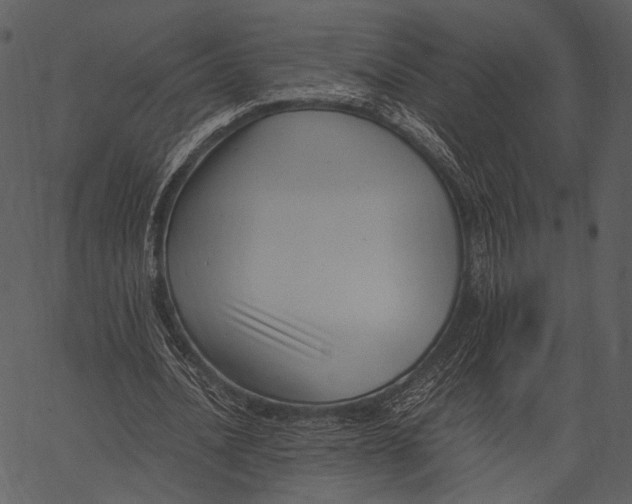X0000062600628200601110943