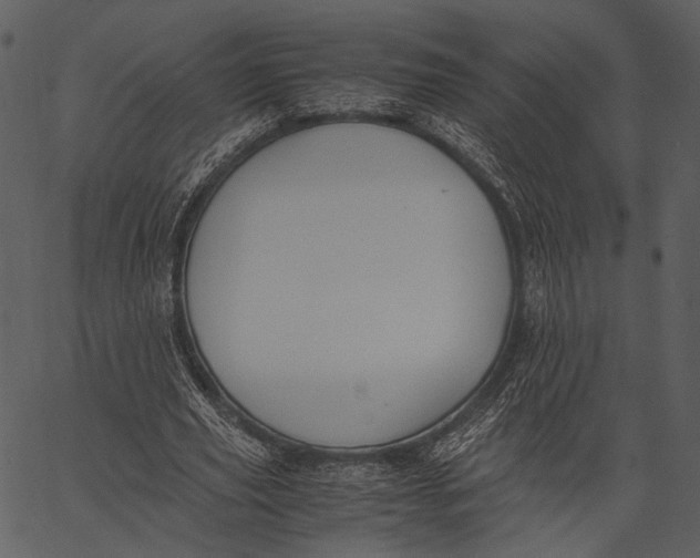X0000062600629200601110943