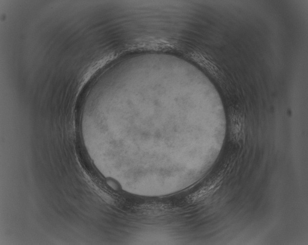 X0000062600630200601110943