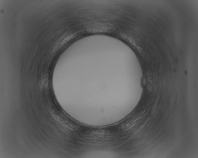 X0000062600631200601110943