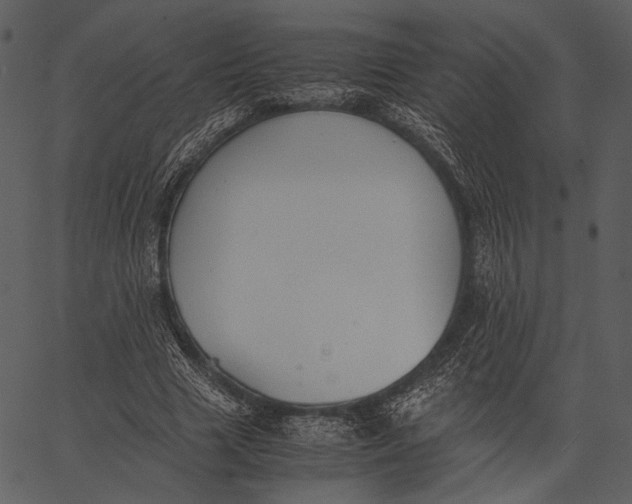 X0000062600633200601110943