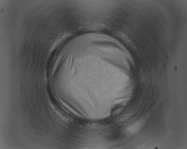 X0000062600634200601110943
