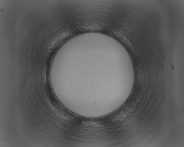 X0000062600635200601110943