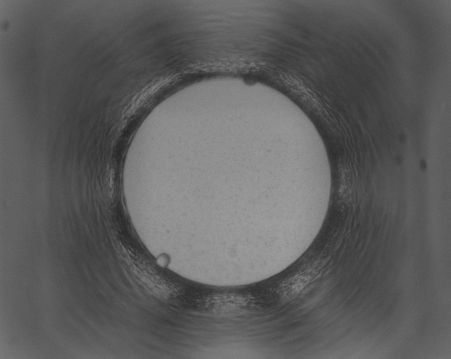 X0000062600636200601110943