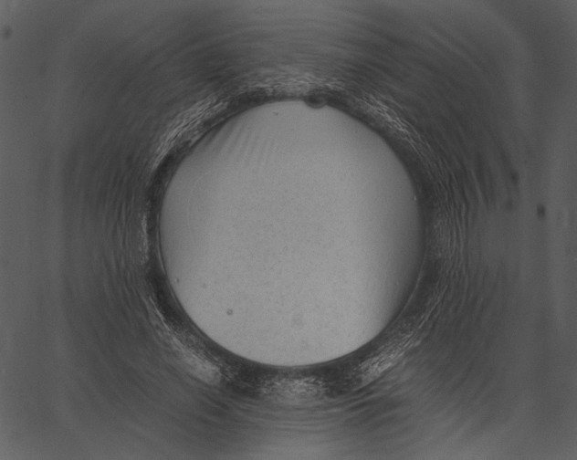 X0000062600638200601110943
