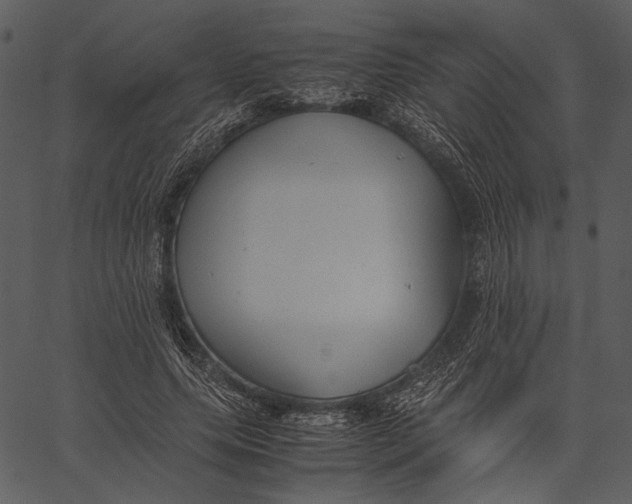 X0000062600639200601110943