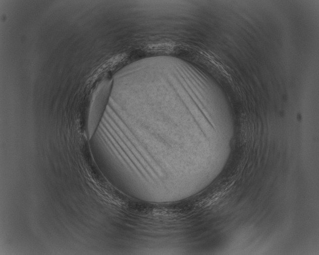 X0000062600641200601110943