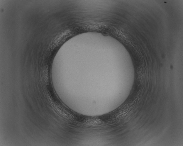 X0000062600642200601110944