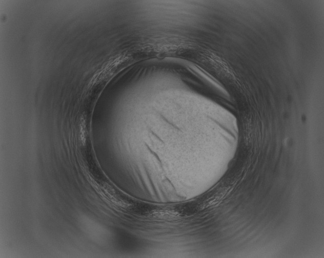 X0000062600644200601110944