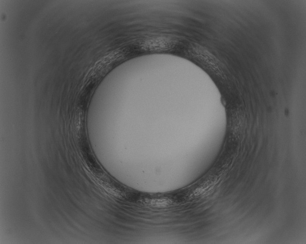 X0000062600645200601110944