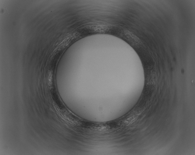 X0000062600646200601110944