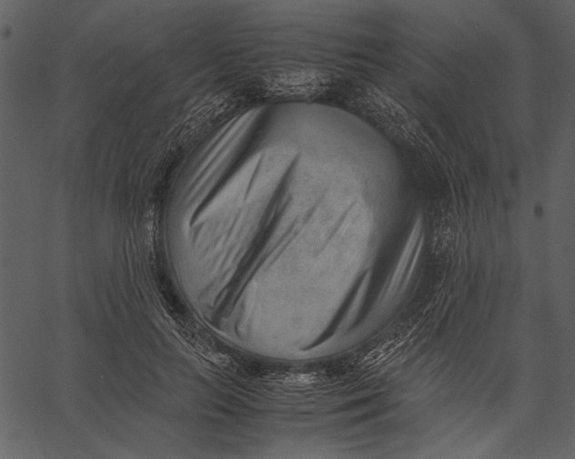 X0000062600647200601110944