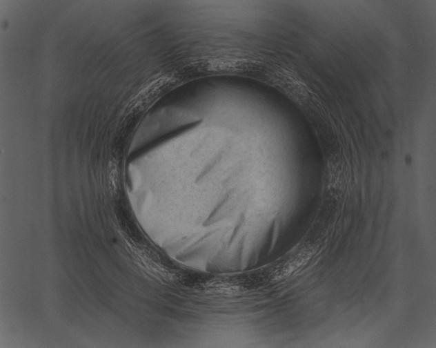 X0000062600648200601110944