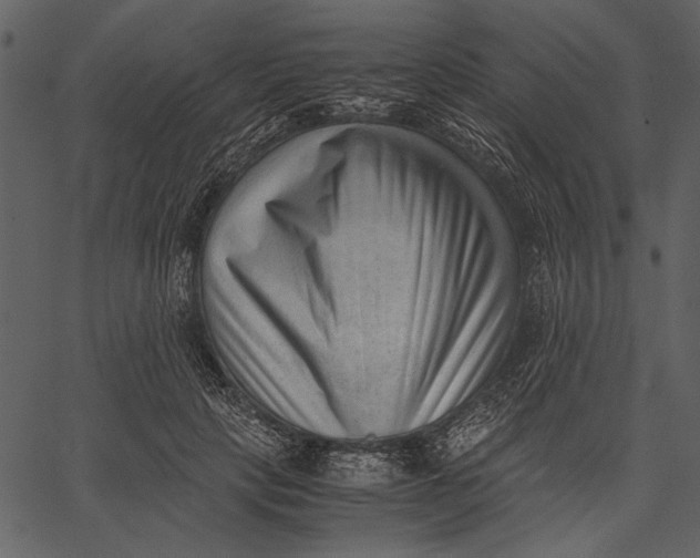 X0000062600649200601110944