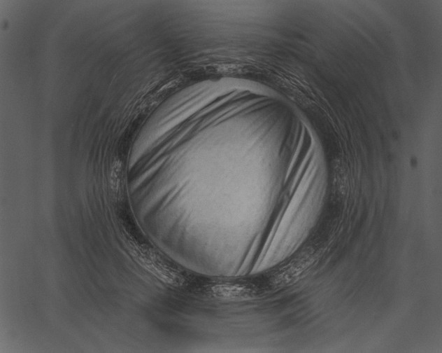 X0000062600650200601110944