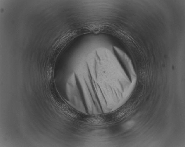 X0000062600652200601110944