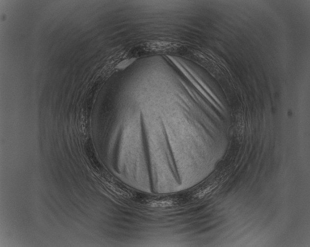 X0000062600653200601110944