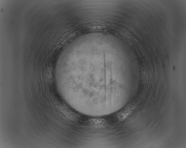 X0000062600654200601110944