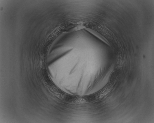 X0000062600656200601110944