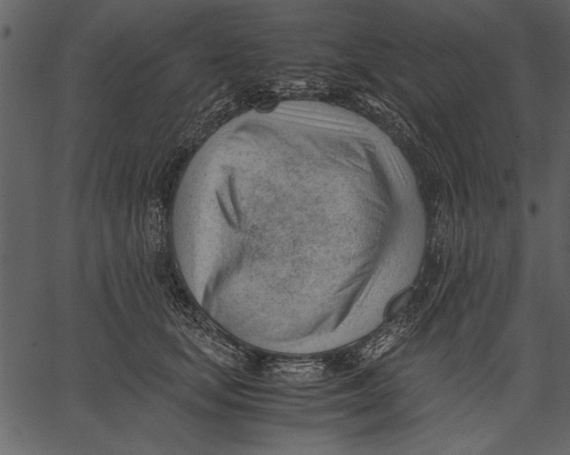 X0000062600659200601110944