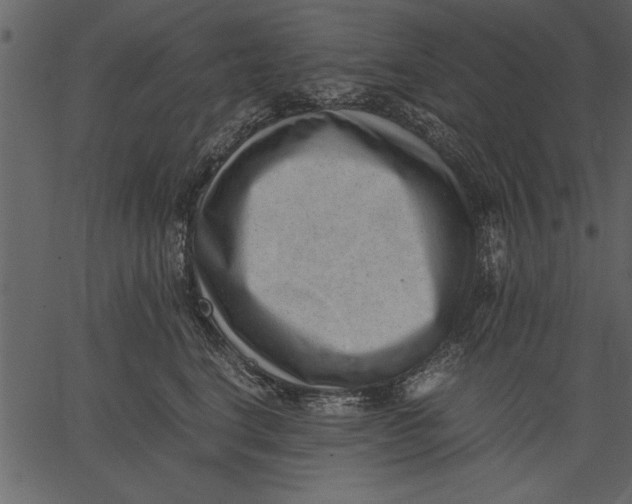 X0000062600664200601110944