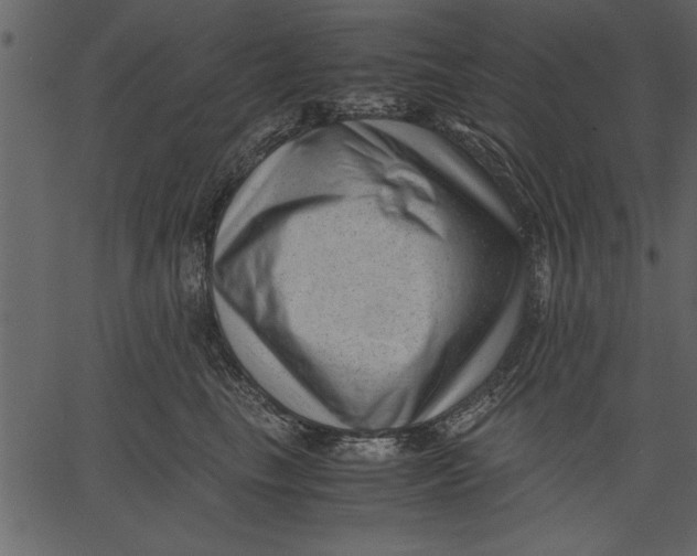 X0000062600665200601110944