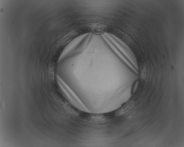 X0000062600666200601110944