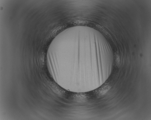 X0000062600668200601110944