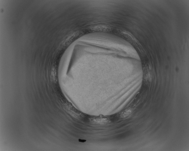 X0000062600669200601110944