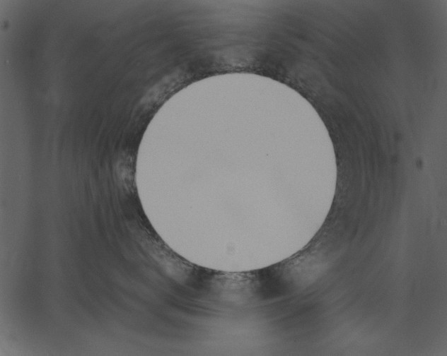 X0000062600672200601110944
