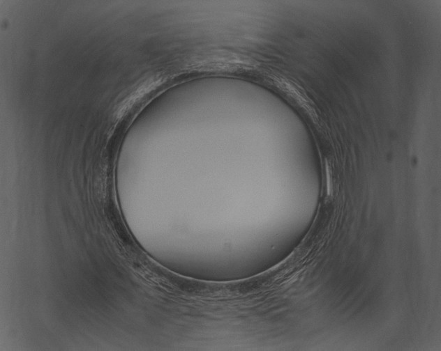 X0000062600675200601110943