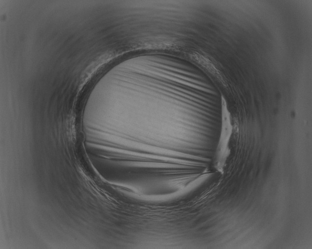 X0000062600676200601110943