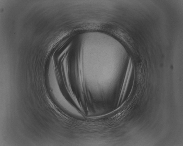 X0000062600677200601110943