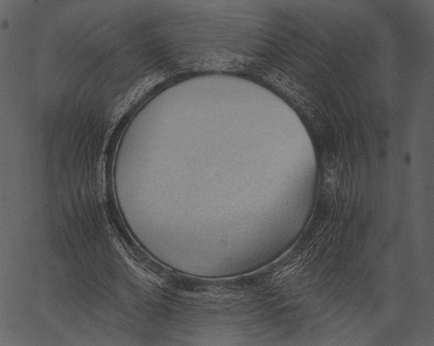 X0000062600678200601110943