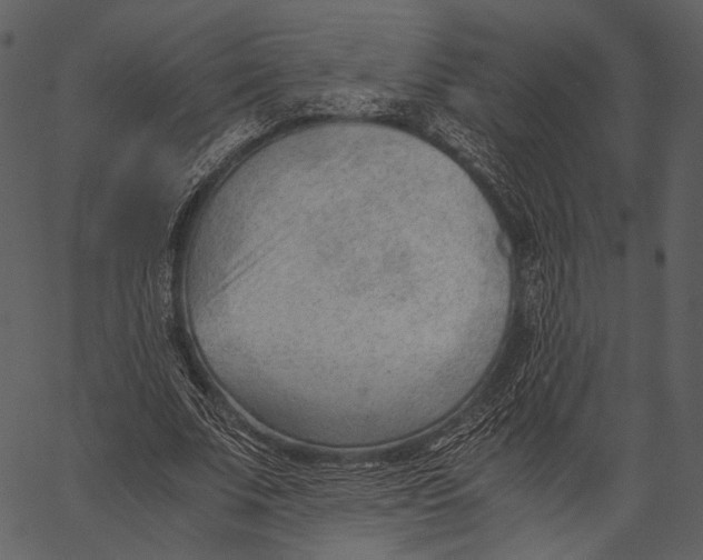 X0000062600679200601110943