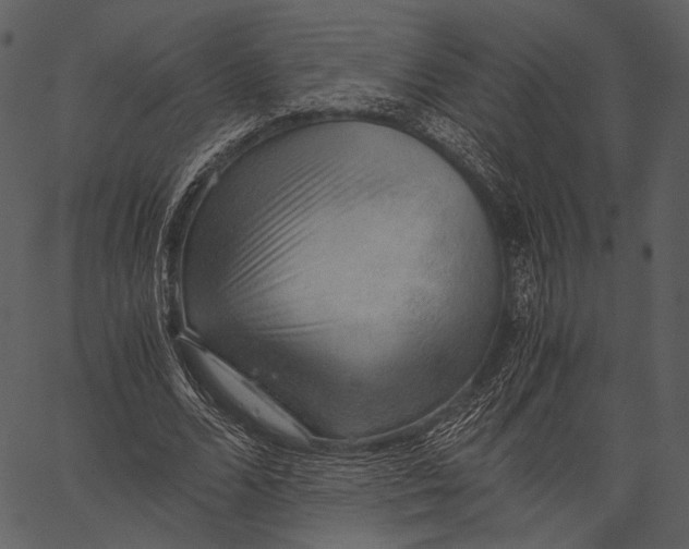 X0000062600680200601110943
