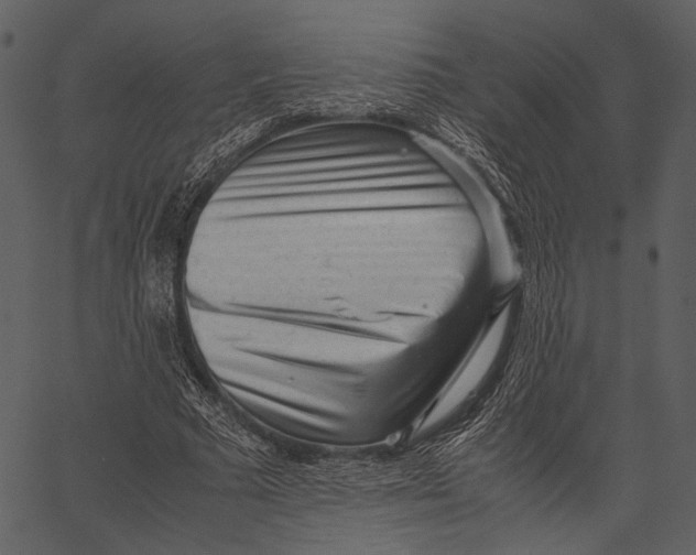X0000062600681200601110943