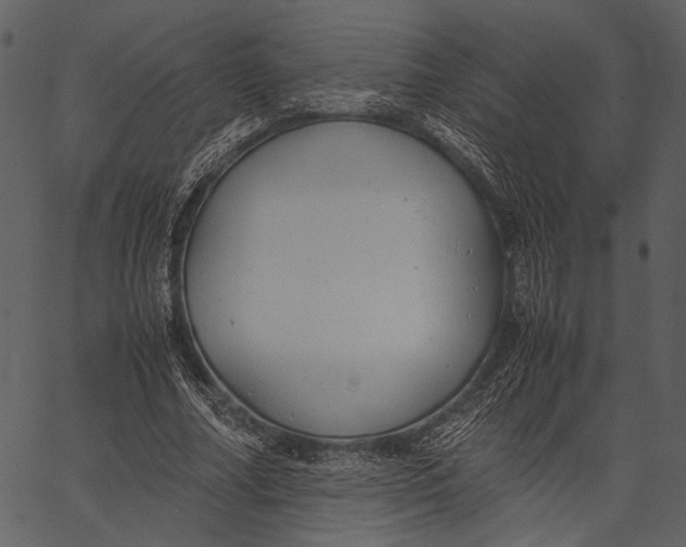 X0000062600682200601110943
